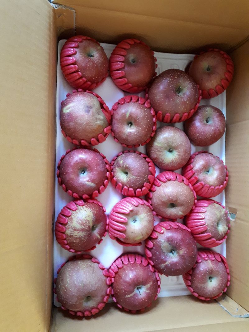 진신하님의 장터 구매 후기 썸네일