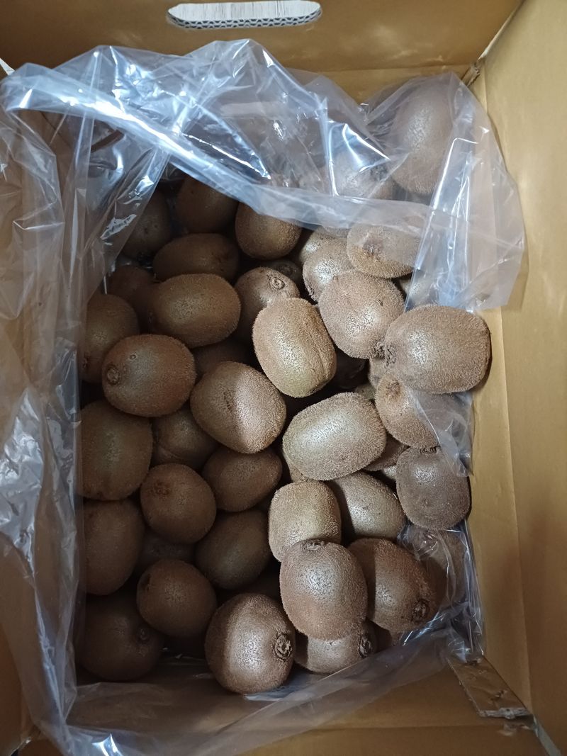 동구밖과수원길님의 장터 구매 후기 썸네일