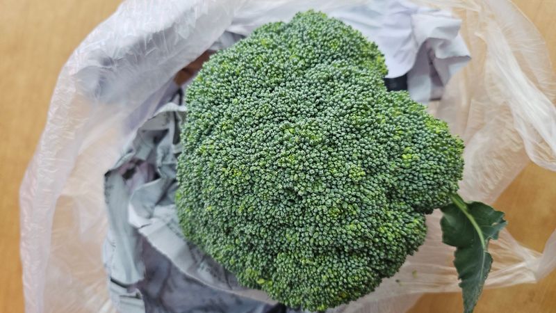 김선화님의 장터 구매 후기 썸네일