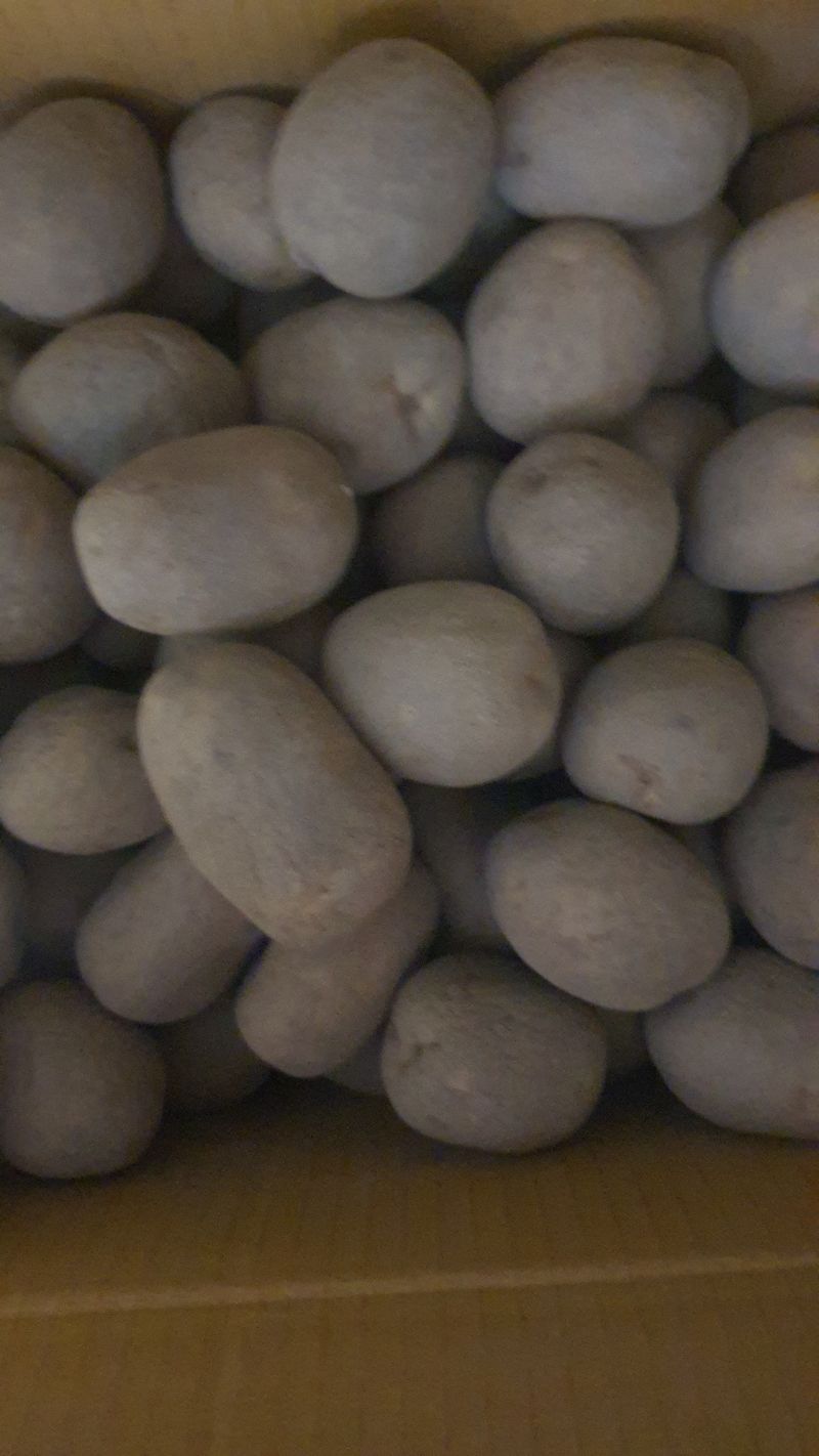 오다가다님의 장터 구매 후기 썸네일