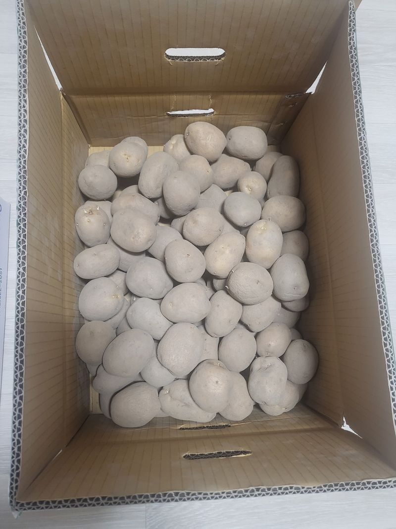 박희정님의 장터 구매 후기 썸네일