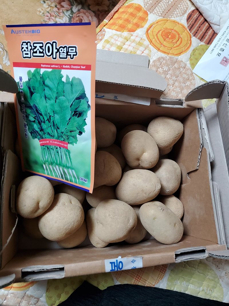 유나님의 장터 구매 후기 썸네일