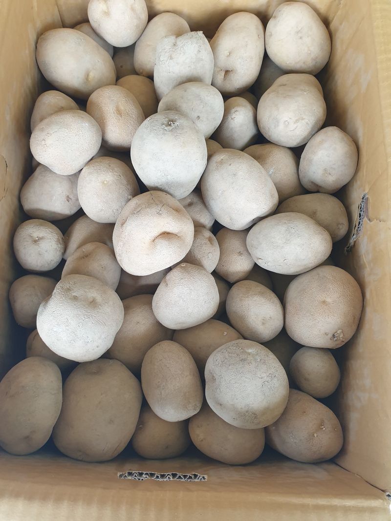 알 수 없음님의 장터 구매 후기 썸네일