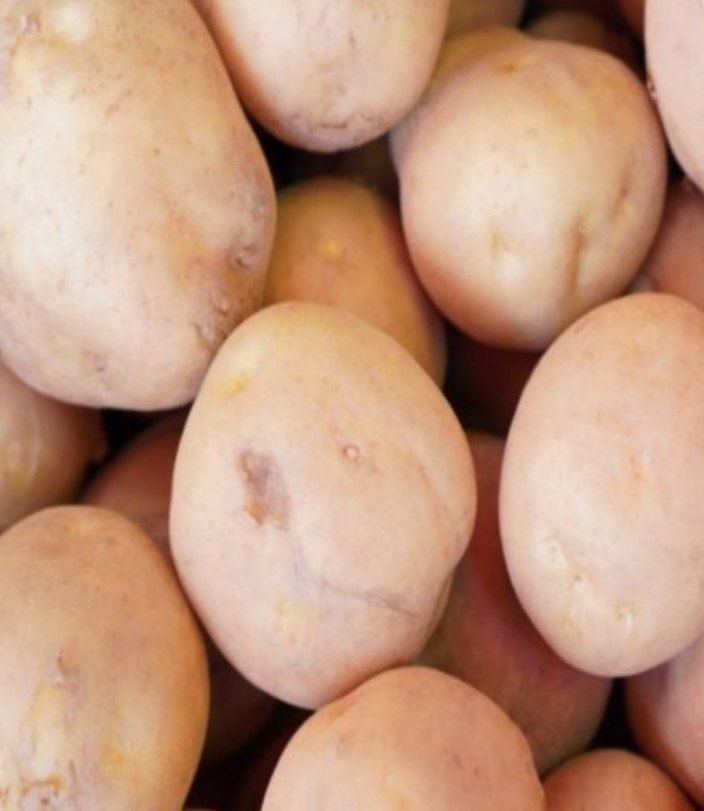 오남현님의 장터 구매 후기 썸네일