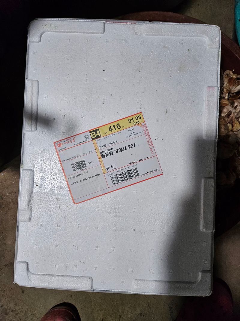 원머루 강낙도님의 장터 구매 후기 썸네일