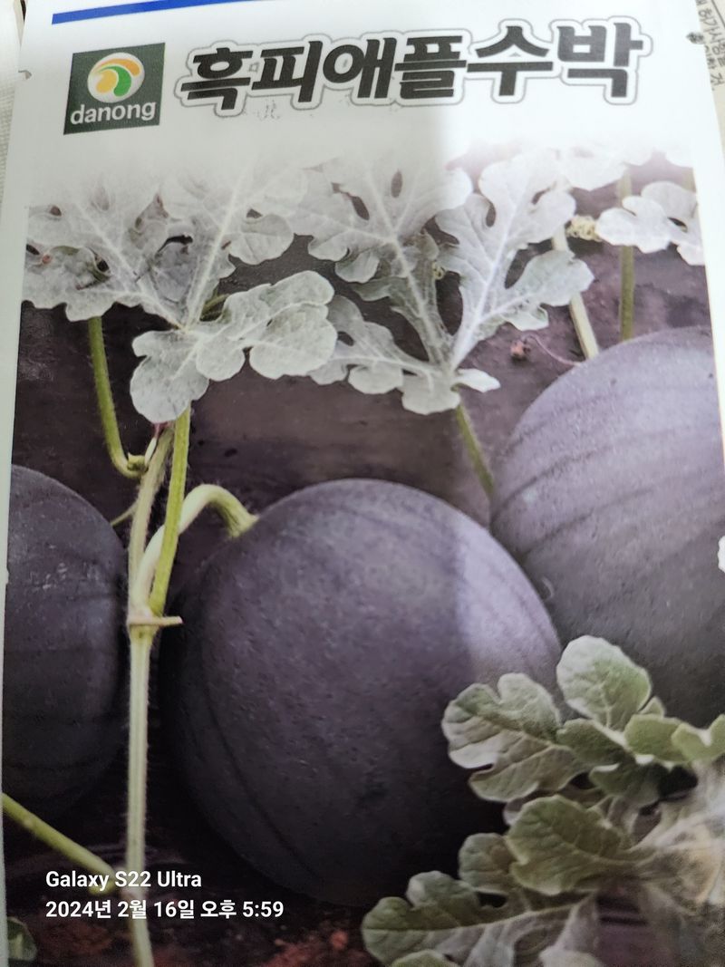 임종권님의 장터 구매 후기 썸네일