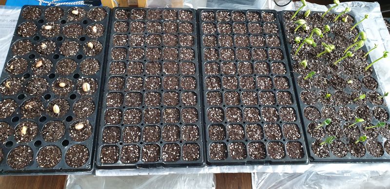 텃밭농부님의 장터 구매 후기 썸네일