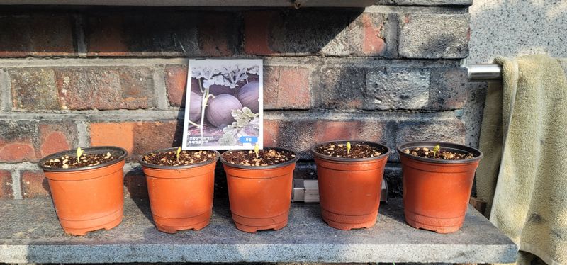 신영식님의 장터 구매 후기 썸네일