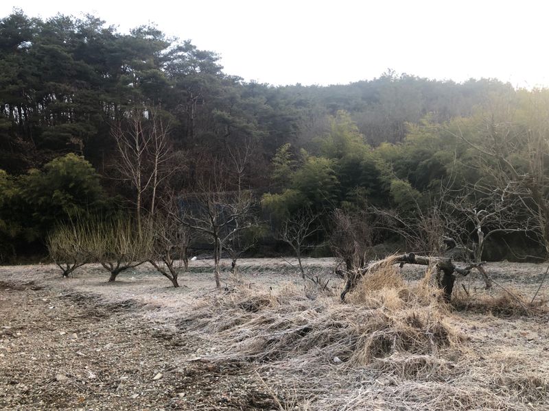 양병구님의 장터 구매 후기 썸네일