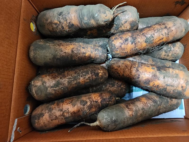 대파21344님의 장터 구매 후기 썸네일