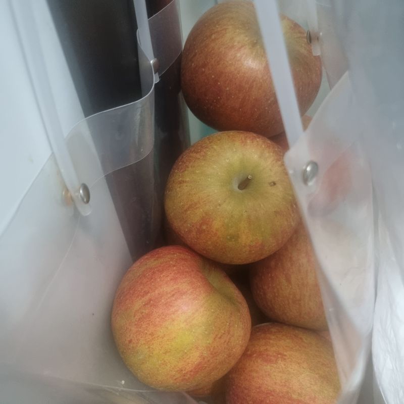 이명기님의 장터 구매 후기 썸네일