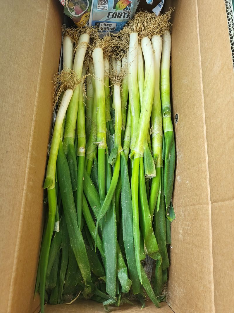 알 수 없음님의 장터 구매 후기 썸네일