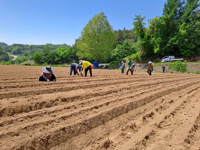 오재갑긍정적인삶살자님의 장터 구매 후기 썸네일