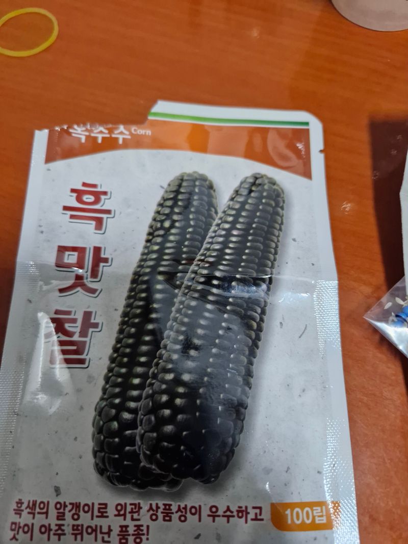 고정희님의 장터 구매 후기 썸네일