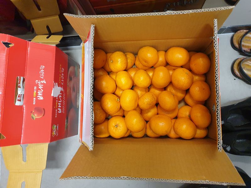 알 수 없음님의 장터 구매 후기 썸네일