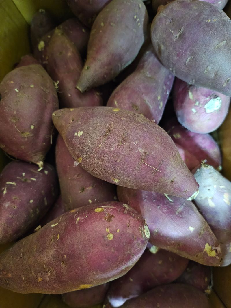 김경수 님의 장터 구매 후기 썸네일