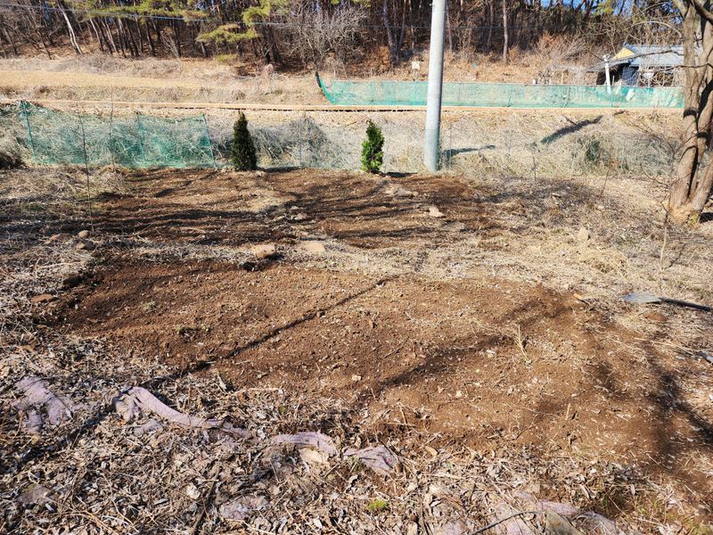 팜더헤븐 현운식님의 장터 구매 후기 썸네일