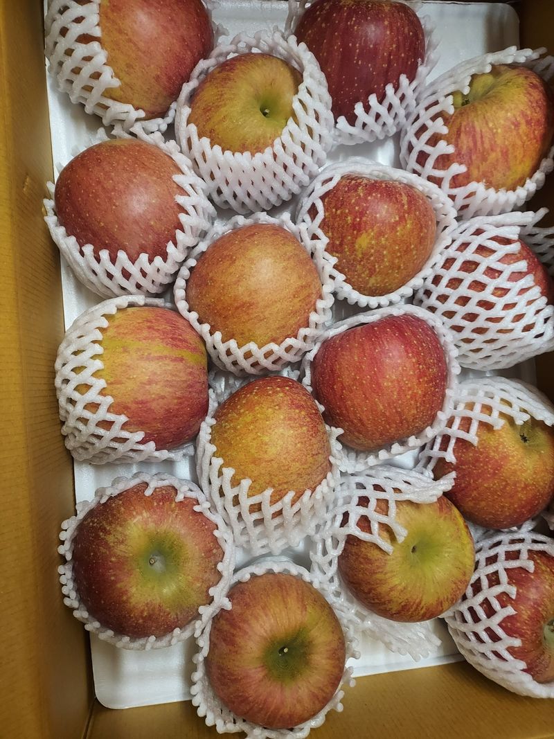 강화도농민님의 장터 구매 후기 썸네일