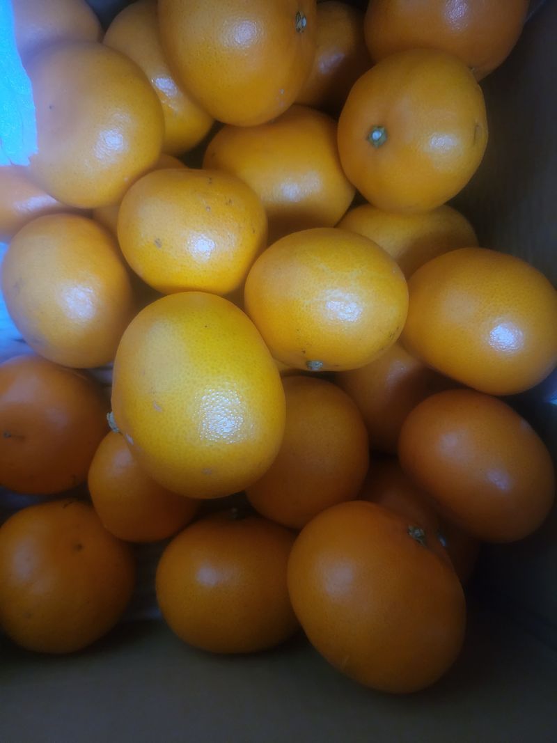 임영심님의 장터 구매 후기 썸네일