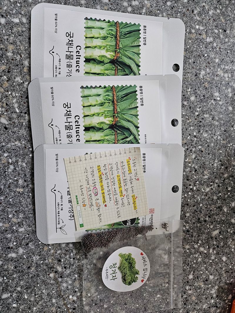 보영님의 장터 구매 후기 썸네일