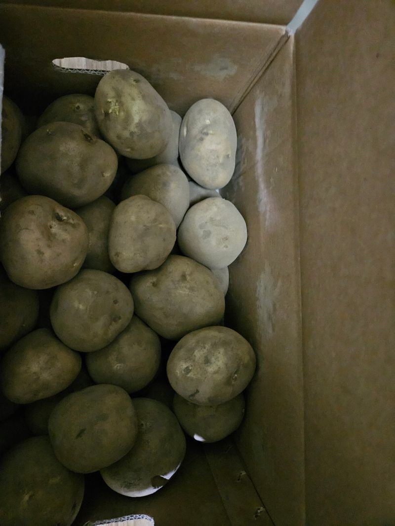 왜목 김진규님의 장터 구매 후기 썸네일