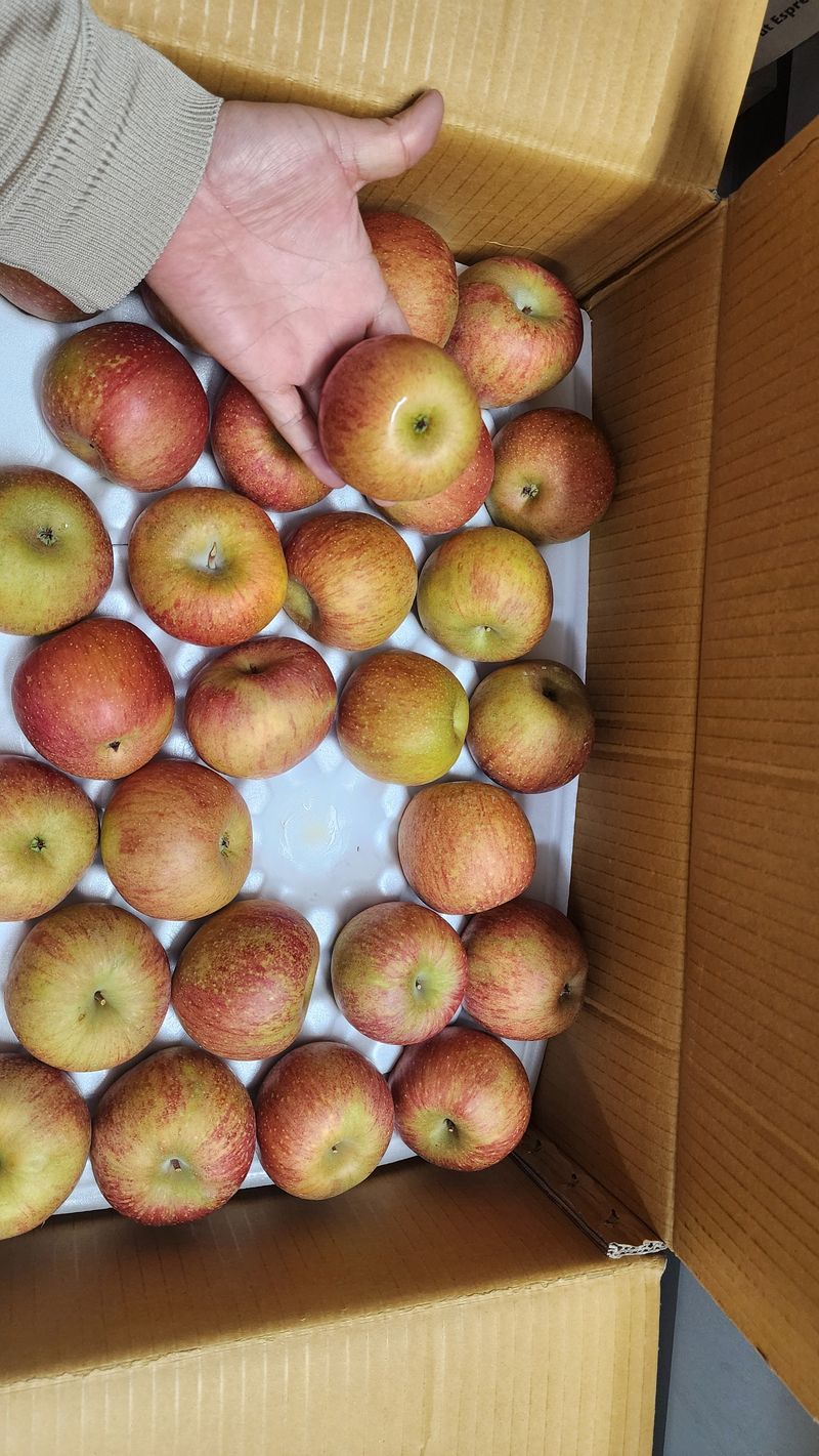 경규찬님의 장터 구매 후기 썸네일