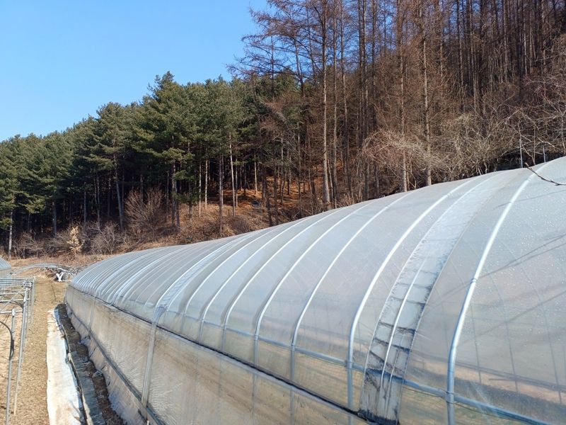 선식물원.선조경.이선님의 장터 구매 후기 썸네일