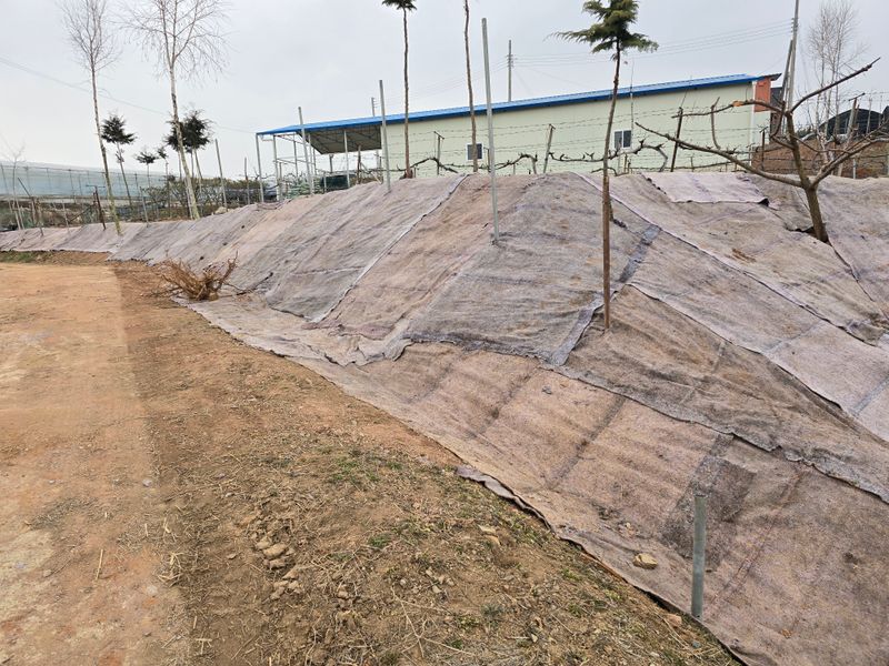 강태만님의 장터 구매 후기 썸네일