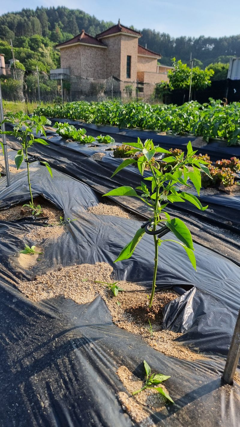 국흥호님의 장터 구매 후기 썸네일