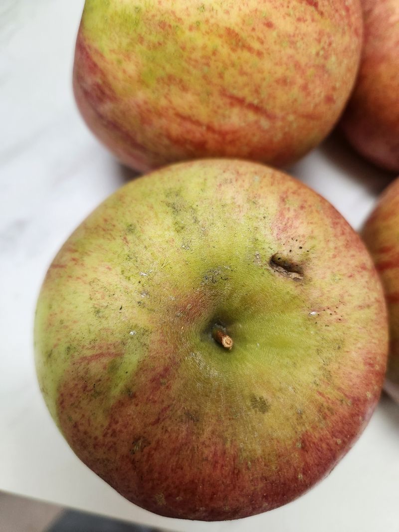 박경미님의 장터 구매 후기 썸네일