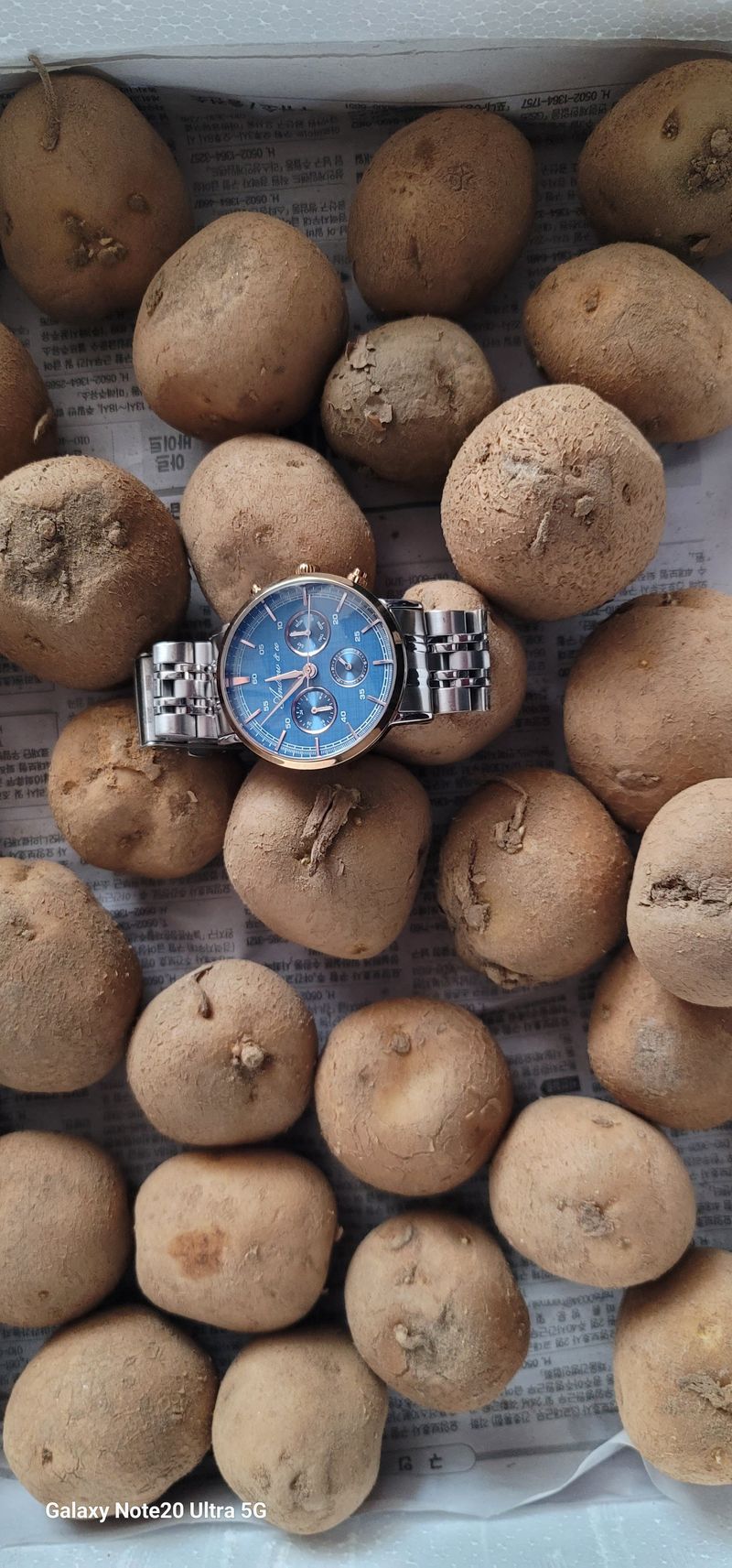 곽해선님의 장터 구매 후기 썸네일