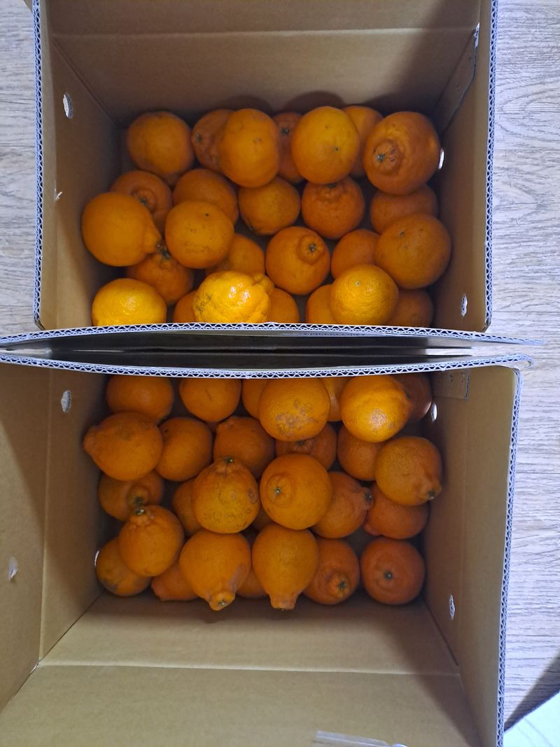 울금박사/빈덕열목사님의 장터 구매 후기 썸네일