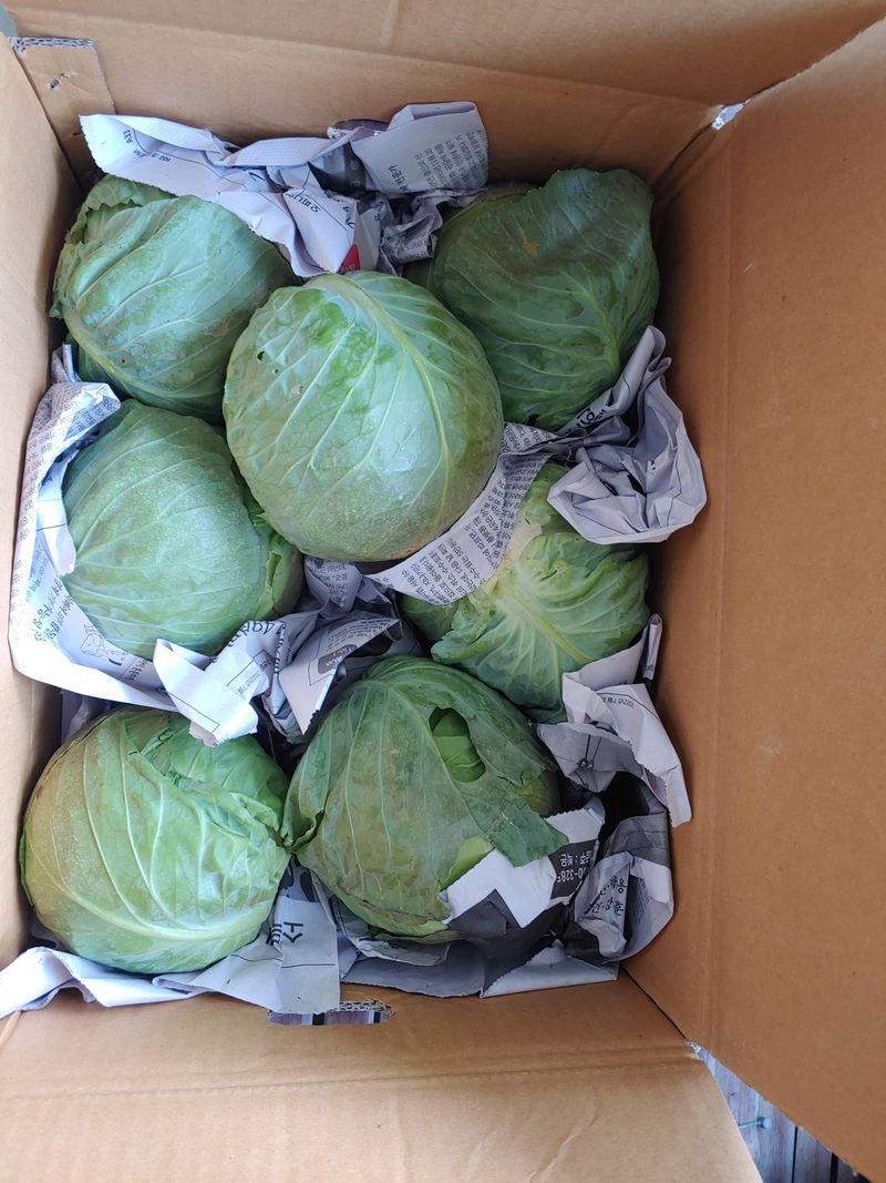 이상선님의 장터 구매 후기 썸네일