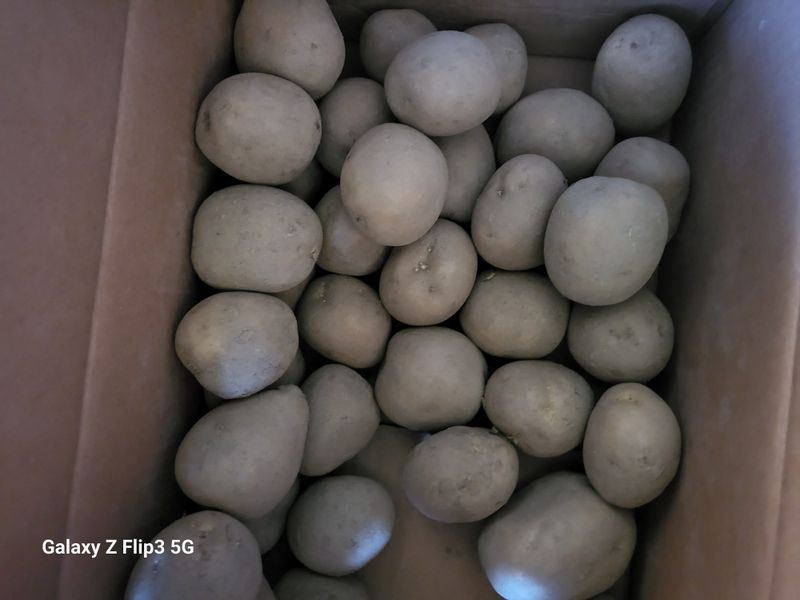 보리맘님의 장터 구매 후기 썸네일