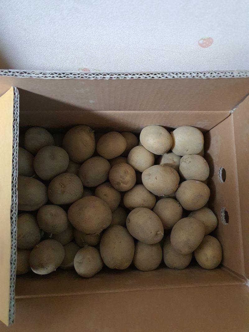 홍창사나이님의 장터 구매 후기 썸네일