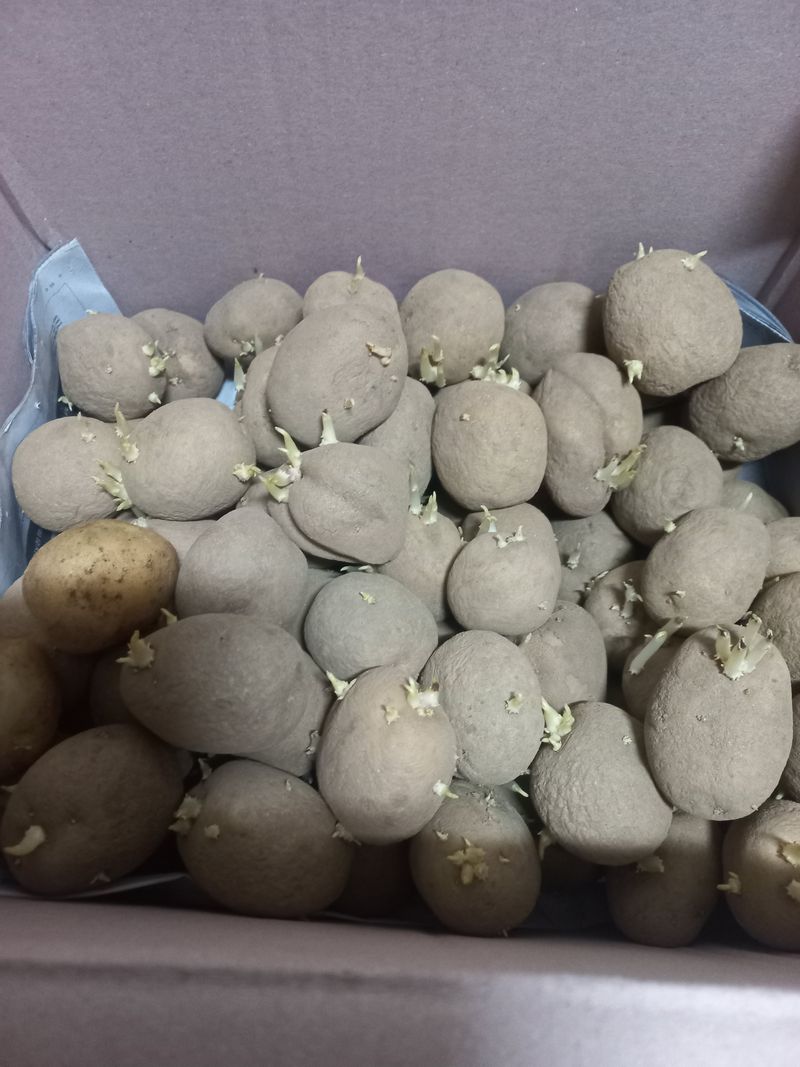 지개꾼님의 장터 구매 후기 썸네일