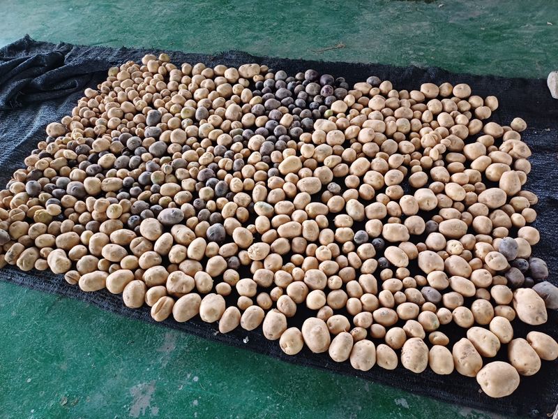 남궁봉님의 장터 구매 후기 썸네일