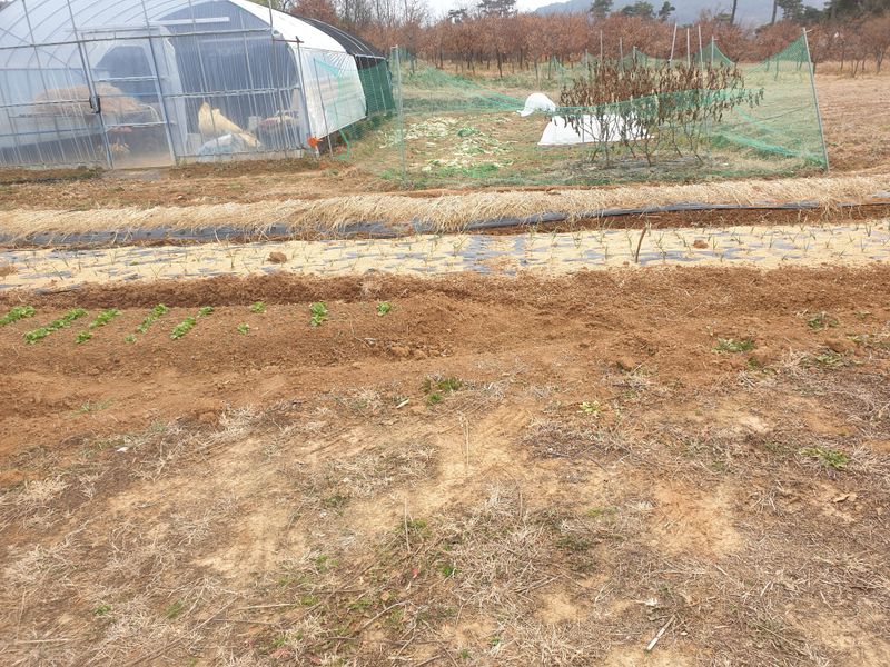 이화열님의 장터 구매 후기 썸네일