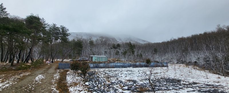 샘골농장 마음만청춘님의 장터 구매 후기 썸네일