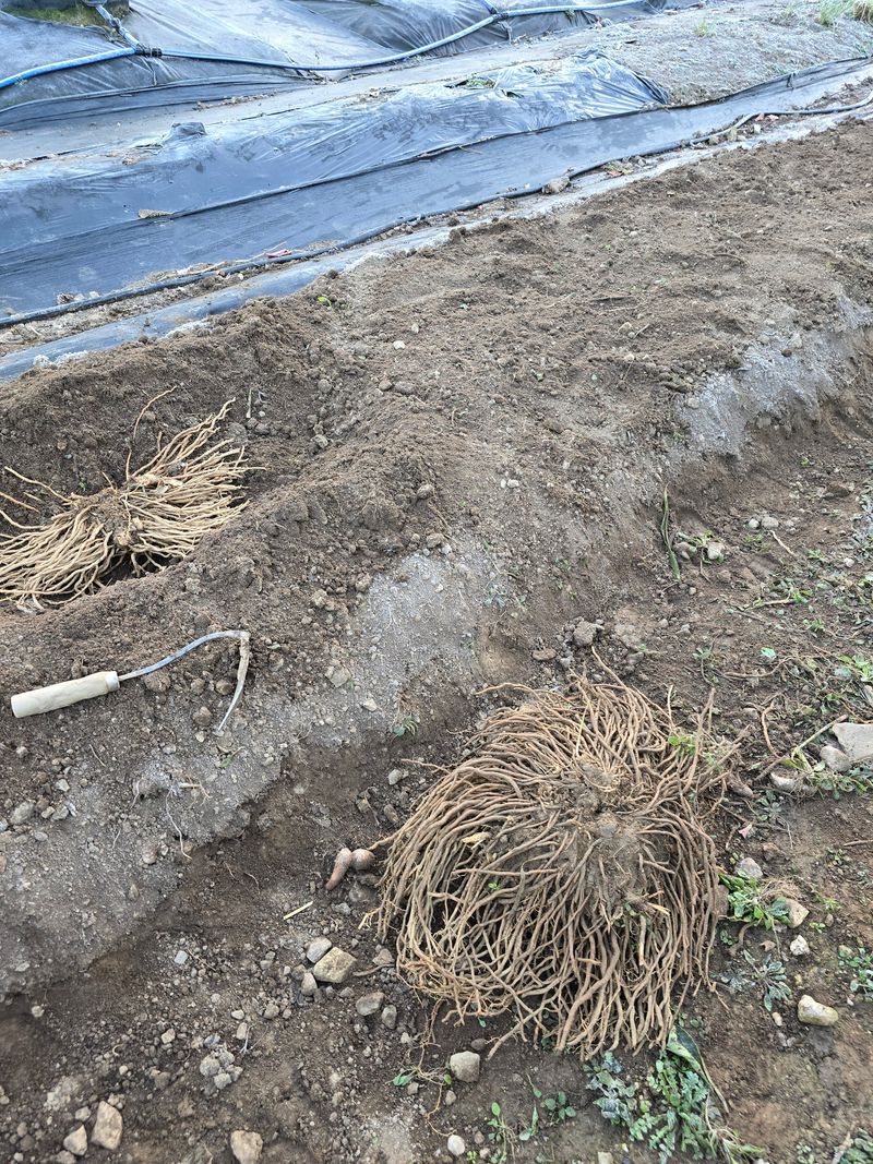 김유숙님의 장터 구매 후기 썸네일