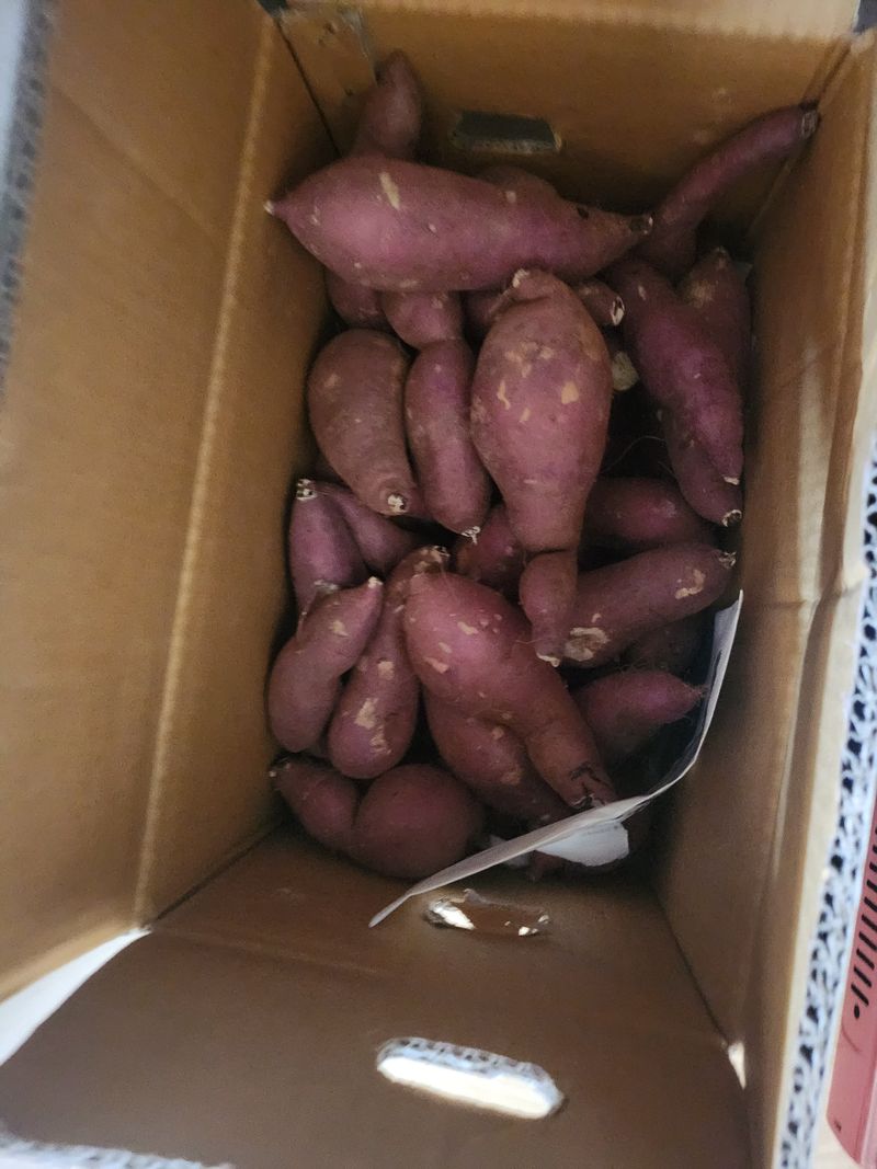 전나영님의 장터 구매 후기 썸네일