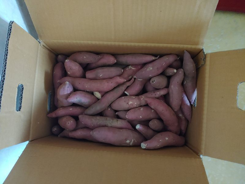 이상선님의 장터 구매 후기 썸네일