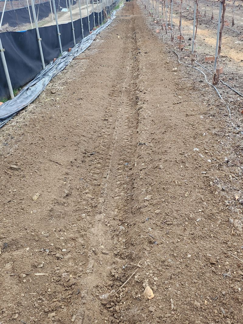 백화산지킴이산야초님의 장터 구매 후기 썸네일