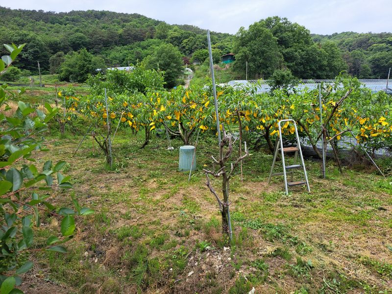 서종국님의 장터 구매 후기 썸네일