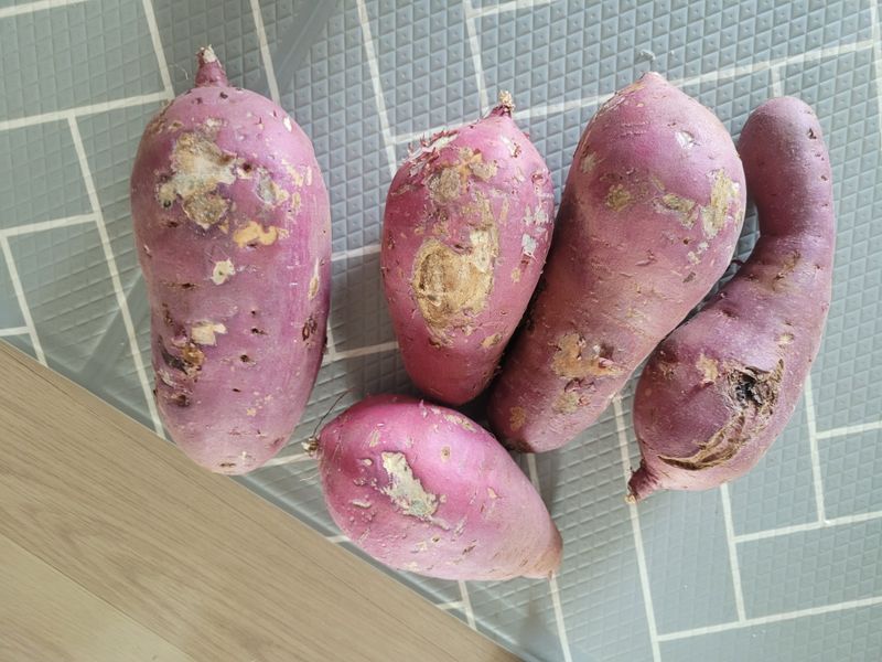 이원우님의 장터 구매 후기 썸네일