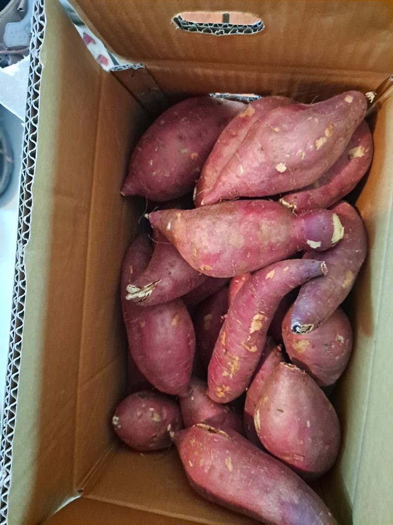 김영미님의 장터 구매 후기 썸네일