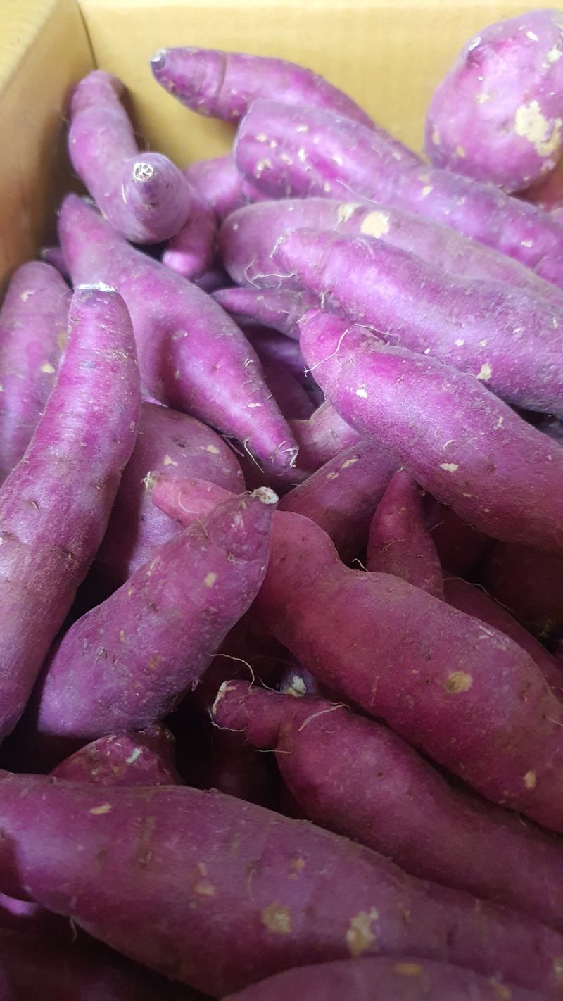 오다가다님의 장터 구매 후기 썸네일