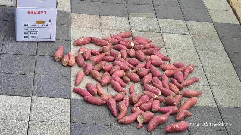 삼신령님의 장터 구매 후기 썸네일