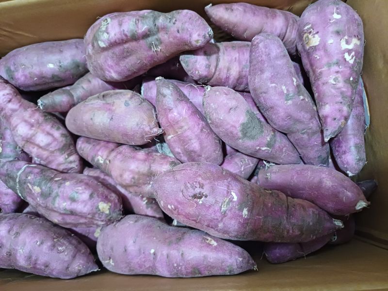 수정엄마입니다!님의 장터 구매 후기 썸네일