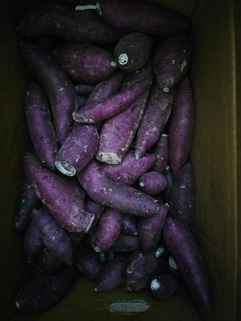 8967님의 장터 구매 후기 썸네일